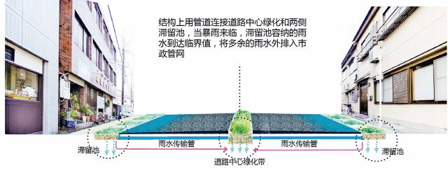 24種海綿城市設(shè)計(jì)措施全圖解_17